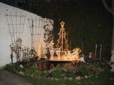 Advent5.jpg