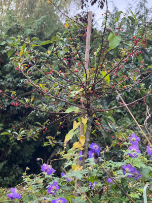 IMG_5072.jpeg