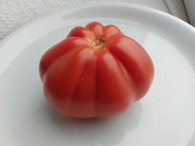 20251026_114852.jpg