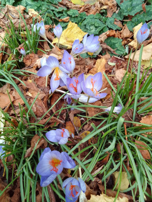 Relax bei Sonnenschein