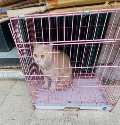 Na ja, immerhin gut im Futter