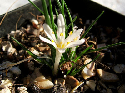 DSCF5990.JPG