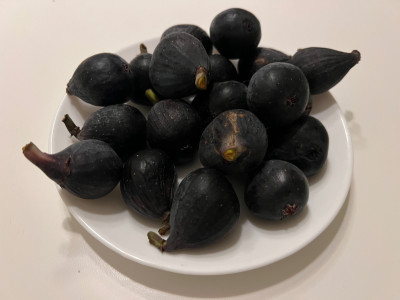 Negronne von gestern