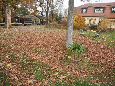 Dreck 1.11.25 ue.JPG