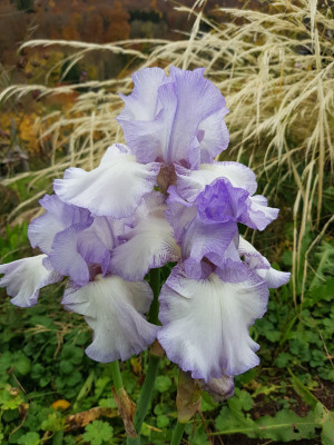 Over and Over, Innerst 2001