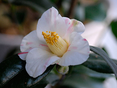 aki-no-yama2.12.jpg