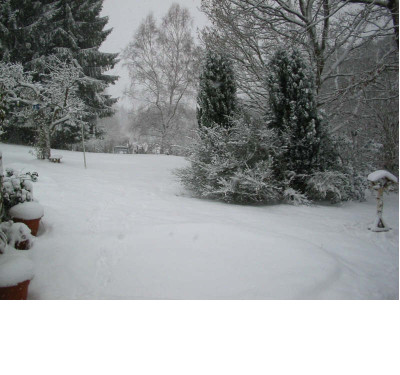 Schnee_03.12.08.jpg