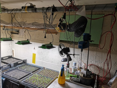 Anzuchtecke 20240213.jpeg