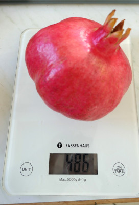 Granatapfel-486g.jpg