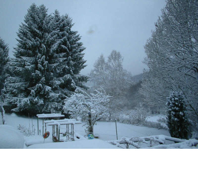 Garten_wei_3.12.08.jpg