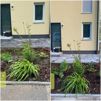 Neubau in Schönbrunner Gelb