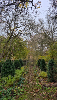 20251107_155251 yew walk.jpg