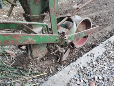 Feldsalat Saatgutablage 20250912.jpeg