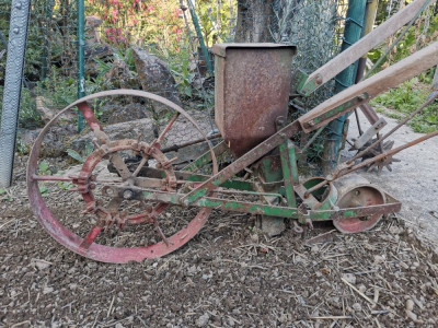 Feldsalat Saat 20250912.jpeg