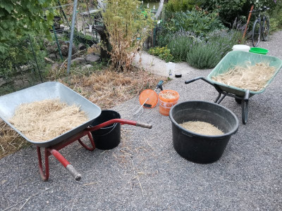 Durum Ernte 3 20250705.jpeg