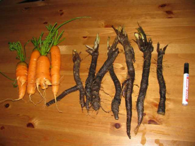 K640_IMG_0028.JPG
