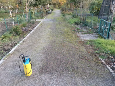 Harnstoff Blattdüngung 20251030.jpeg