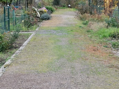 Harnstoff Blattdüngung 20251115.jpeg