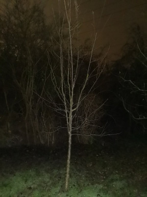 Spilling Guben 20251126.jpeg