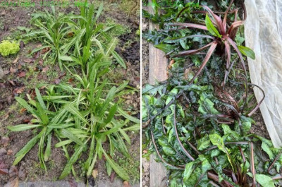 2 x Catalogna - je nach -7°C