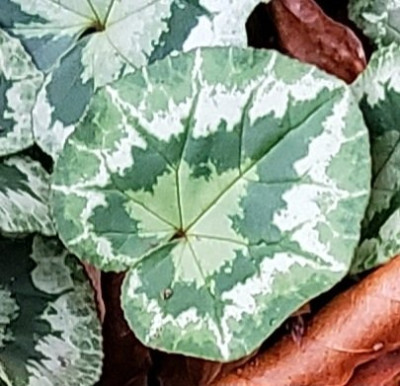 20251202_140226 (1).jpg