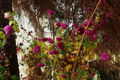 &quot;Feuerzauber&quot; ( Hintergrund überbelichtet, kein Nebel)