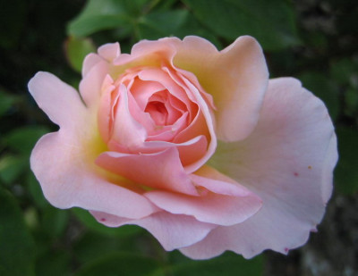 07.2008_016_Mary_Magdalene.jpg