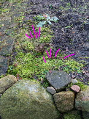 Stängel gekennzeichnet