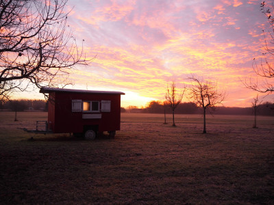 Obstwiese 12.12.25 ue.JPG