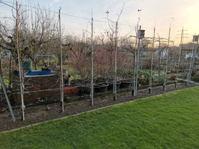 Spindelreihe 20251212.jpeg