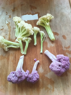 Und Blumenkohlblüten fioretto