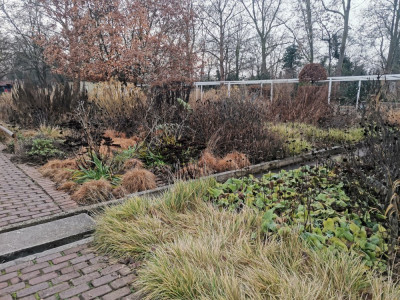 Ebertpark 20251216_3.jpeg