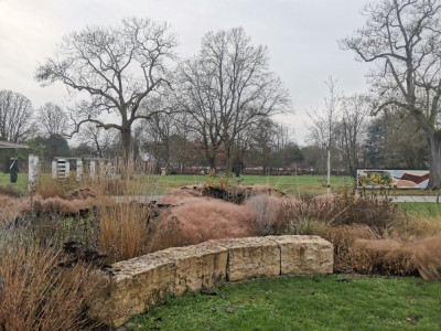 Ebertpark 20251216_7.jpeg