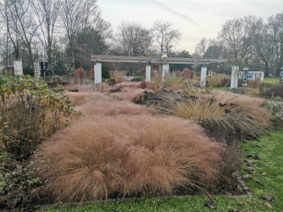 Ebertpark 20251216_9.jpeg