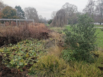 Ebertpark 20251216_10.jpeg