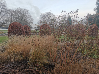 Ebertpark 20251216_12.jpeg