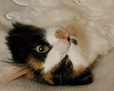 Ich finde mich auch toll.....