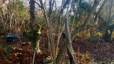 " Nimm´mich mit, Kapitän, auf die Reise ....."