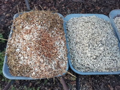 Häcksel Kiwi Feige.jpeg