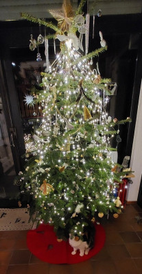 Noch der komplette Baum