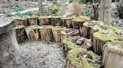 Auf den Stämmen der Kinderstube  ist es gerade noch erlaubt