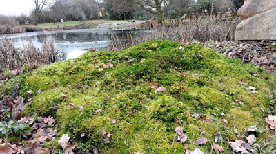 Auf dem Hügel ist es gewollt