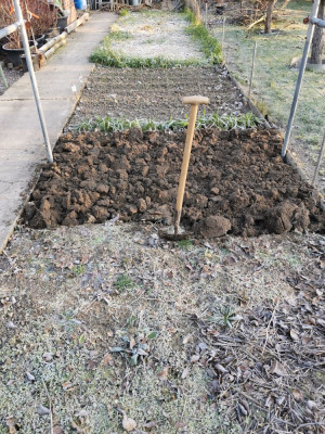 Gemüsebeet 20251226.jpeg