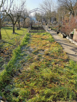 Gemüsebeet lang 20251226.jpeg