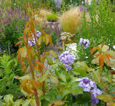 20240714_150823 VG.jpg