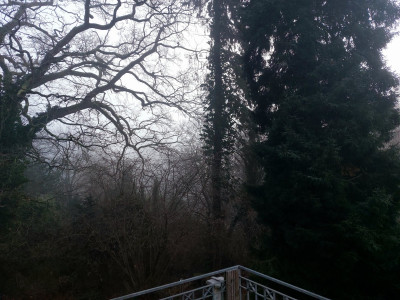 Blick vom Balkon hoite morgen