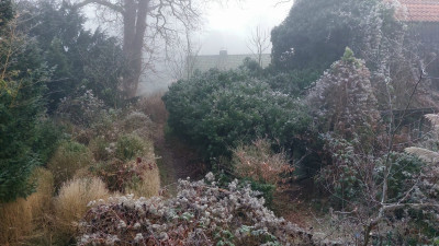 Raureif ( hat nix mit dem ehem. Chefredakteur der gp zu tun