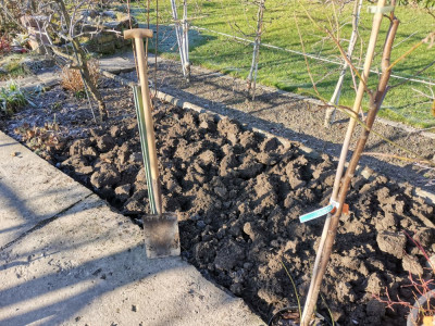 Mittelbeet 20251229.jpeg