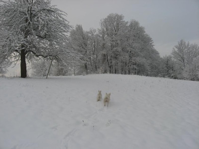 winter-sebn1.jpg