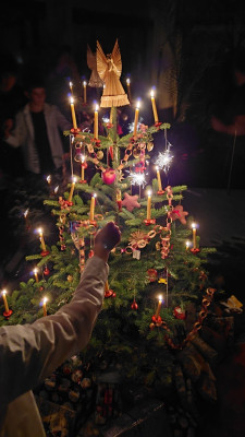 WhatsApp Image 2025-12-24 at 20.59.04.jpeg